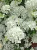 Hydrangea Fairytrail White