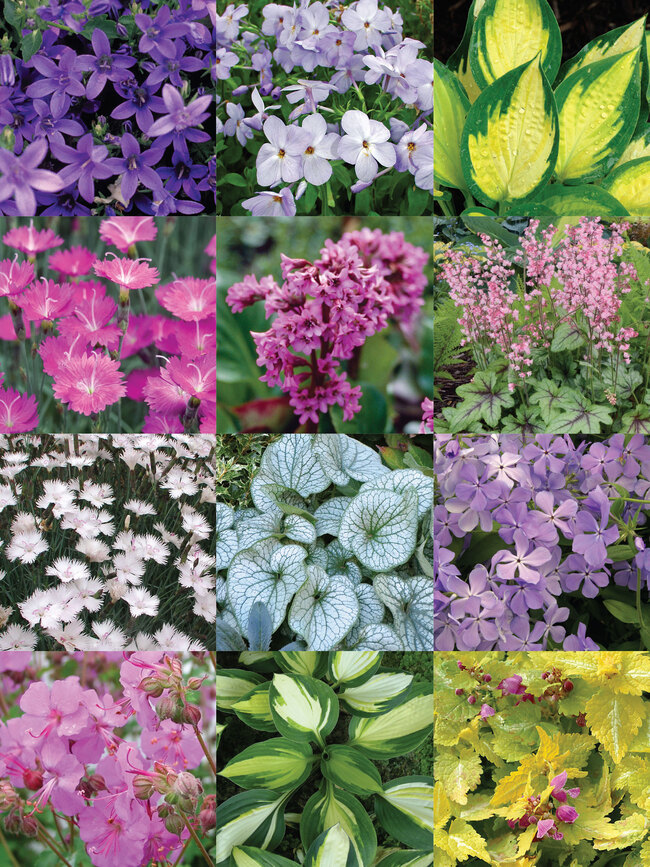 perennial garden design perennial garden design